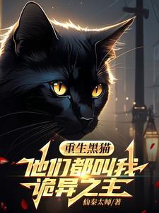 主角有一只黑猫的