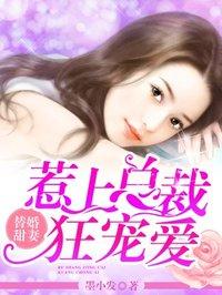 惹上总裁狂宠妻