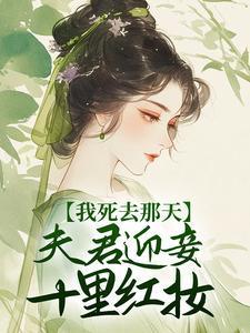 夫君迎妾十里红妆 免费阅读