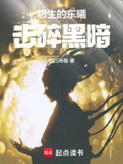 击碎黑暗无错版