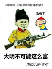 大明不可能这么富八零网