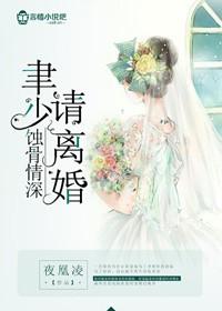 先生请离婚