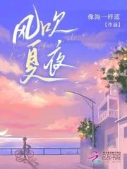 风吹夏夜剧情介绍