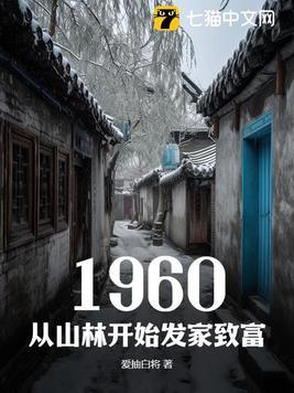 1960从几几年开始发家致富