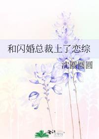 我和总裁闪婚之后