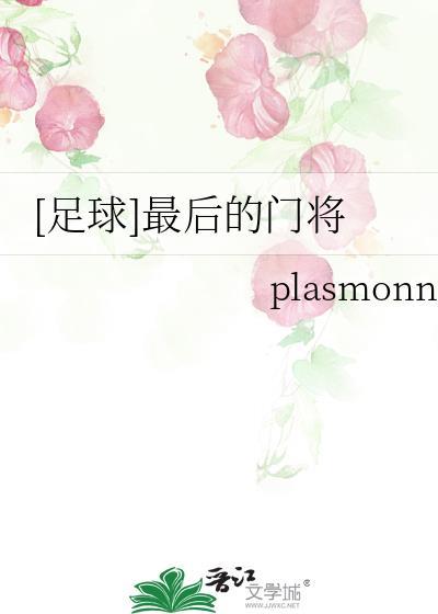 足球最后的门将plasmon免费观看