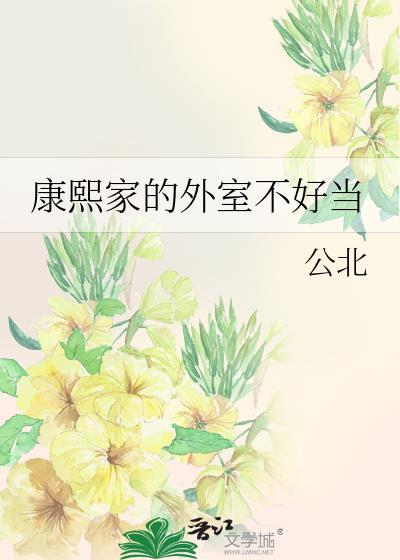 康熙家的外室不好当(清穿)