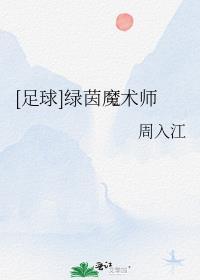 足球绿茵魔术师TXT