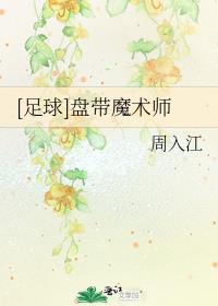 足球盘带魔术师TXT