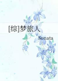 梦旅人sonata