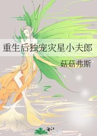 重生后独宠灾星小夫郎菇菇