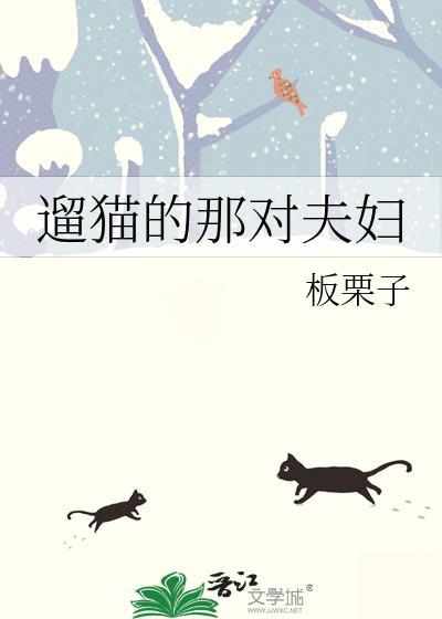 遛猫的那对夫妇txt