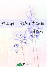 我成了九漏鱼 张纵火