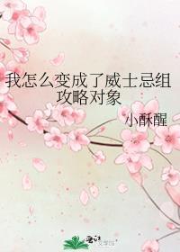 我怎么变成了威士忌组攻略对象免费