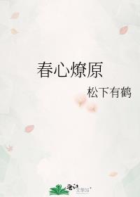 春心燎原讲的什么