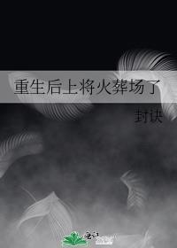 重生后上将火葬场了TXT