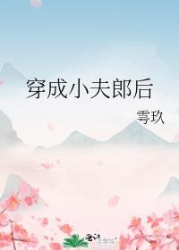 穿成小夫郎后by讲的什么