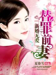 新婚无爱替罪前妻原文