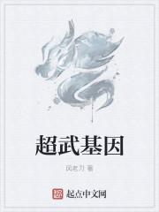 石榴小皇后讲什么