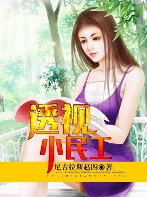 透视小民工夏天全部章节