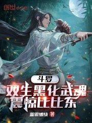 斗罗大陆之双生武魂和五生武魂