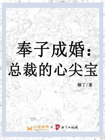 奉子成婚总裁求复合