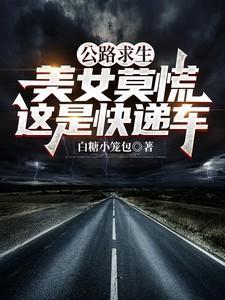 公路求生带系统的