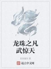 龙珠之武天宗师