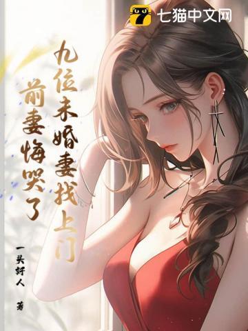 韩风九个未婚妻的