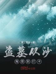 盗墓从沙海签到打卡有男主吗