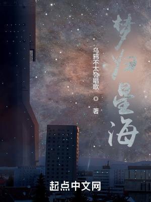 梦回星光岛什么意思