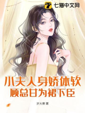 小夫人的意思