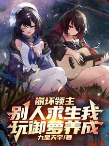 崩坏2领域崩坏novel