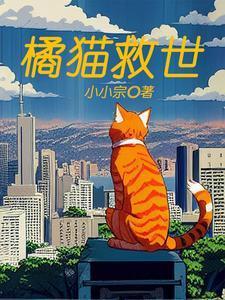 橘猫宠物猫