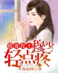 上门龙婿 叶公子