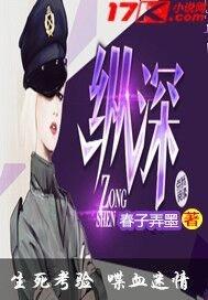 纵深推进全面从严管党治警总结