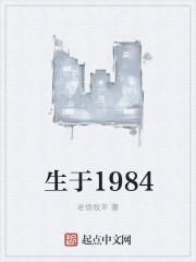 生于1984加料版加在哪