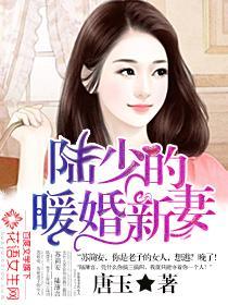 陆少的暖婚新妻纵横女生