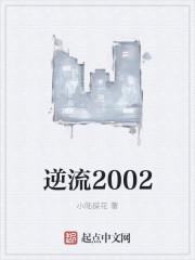 逆流2002小陆探花