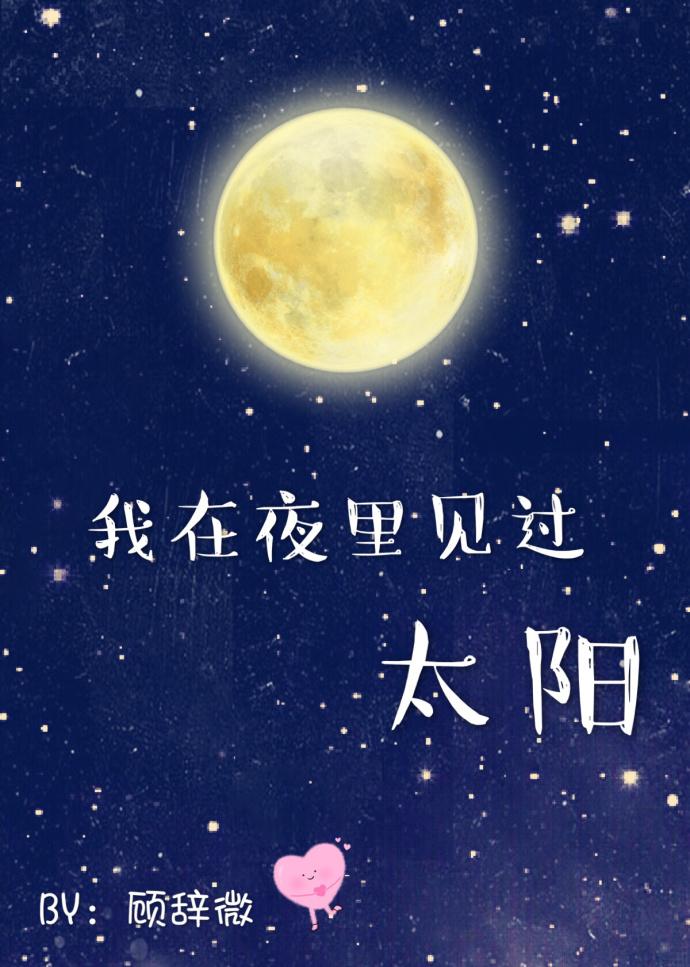 我在夜里见过太阳 作者顾辞微