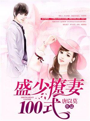 盛少宠妻100式中文