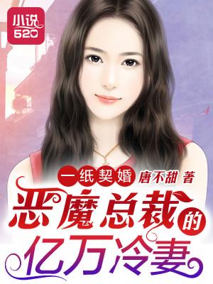 一纸契婚恶魔总裁的亿万冷妻