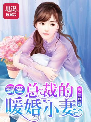 霸总暖婚新妻