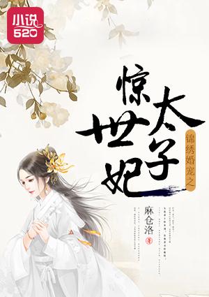 锦绣太子妃