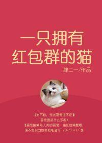 一只拥有红包群的猫作者肆二一