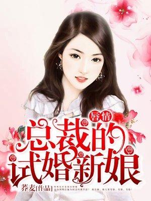 总裁的试婚新妻