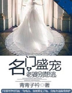 名门盛宠之老婆别嚣张