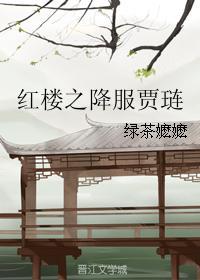 红楼之降服贾琏 格格党