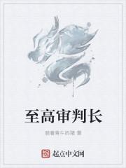 一级法官是什么级别