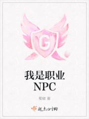 我是职业npcTXT